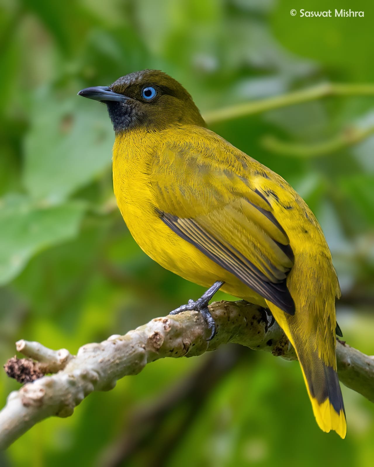 WhatsApp Image 2025-09-17 at 10.45.00 AM