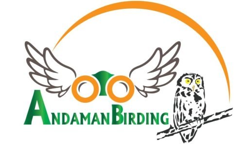 WhatsApp Image 2025-09-11 at 1.09.45 PM(2)